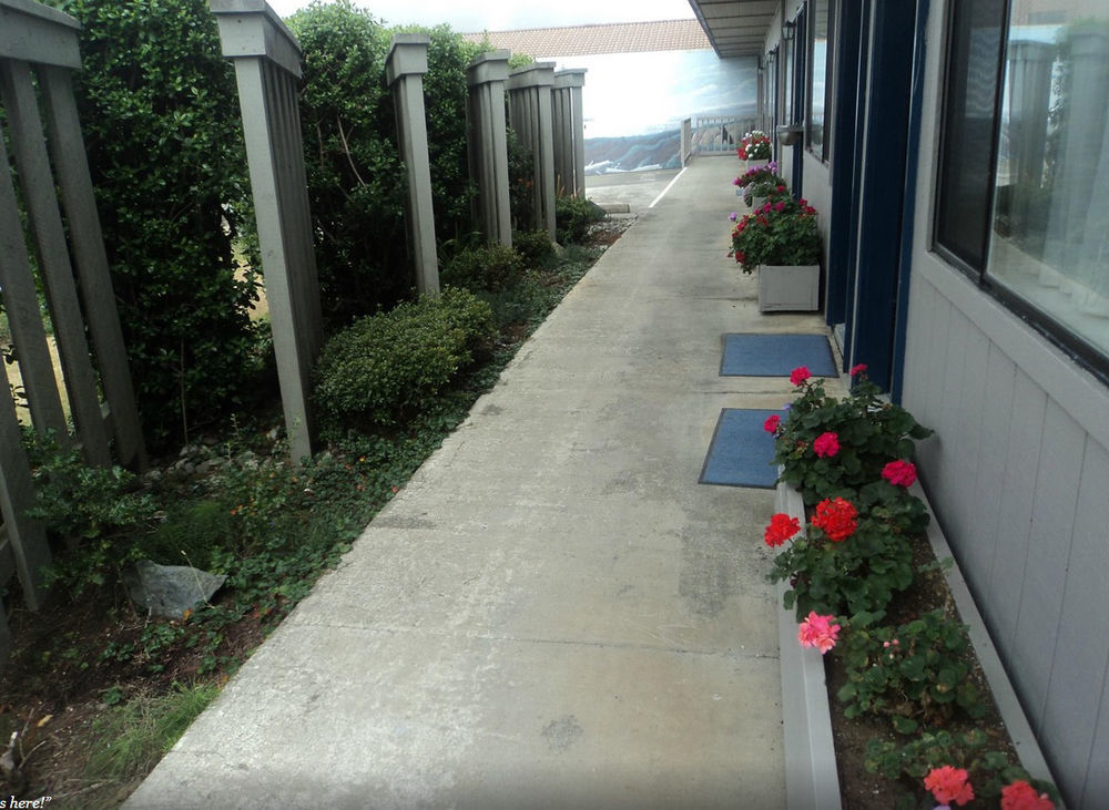 Lighthouse Cove Inn Bandon Exterior photo A view of the side of the hotel